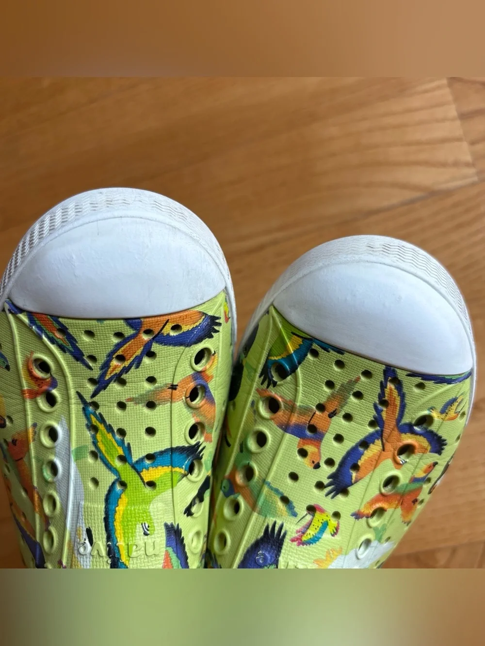 Native Jefferson Sugarlite Shoes Celery Green parrot motif Toddler Boys Girls C9